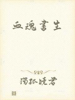 血魂书生