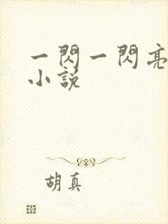 一闪一闪亮星星小说