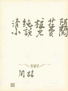 清纯校花堕落记小说免费阅读