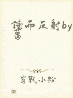 镜面反射by九葛