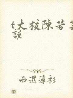 t大校陈若芸小说