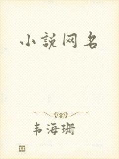 小说网名
