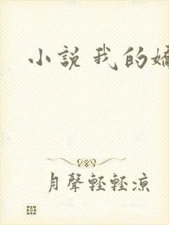 小说 我的娇妻