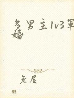多男主1v3军婚