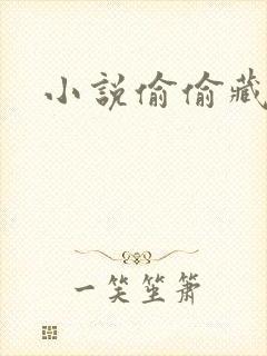 小说偷偷藏不住