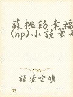 苏桃的幸福生活(np)小说笔趣阁沐沐