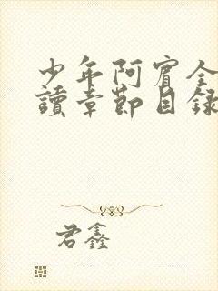 少年阿宾全文阅读章节目录