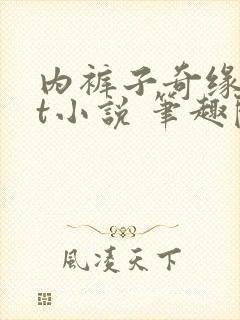 内裤子奇缘txt小说 笔趣阁