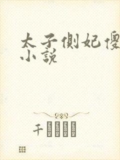 太子侧妃傻乎乎小说