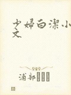 少妇白洁小说全文