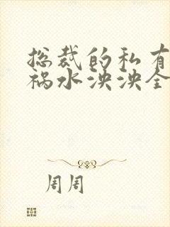 总裁的私有宝贝祸水泱泱全文阅读