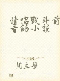 情侣战斗前适合看的小说