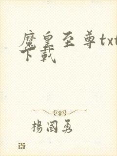 魔皇至尊txt下载