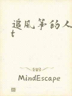 追风筝的人txt