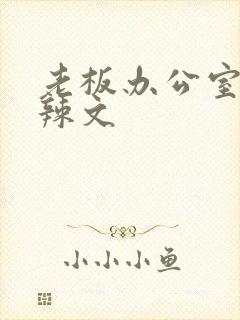 老板办公室系列辣文