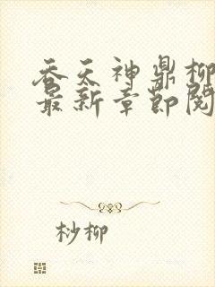 吞天神鼎柳无邪最新章节阅读