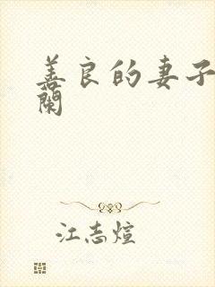 善良的妻子王晓兰