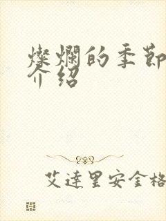 灿烂的季节剧情介绍