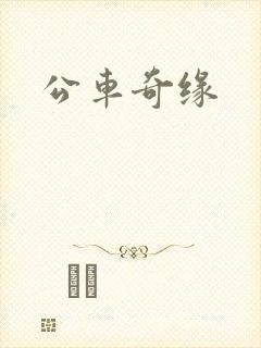 公车奇缘