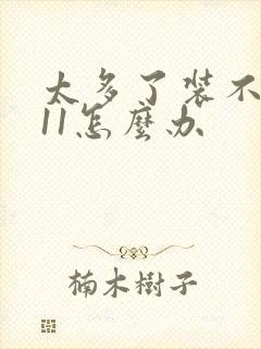 太多了装不下h11怎么办