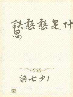 铁憨憨是什么意思