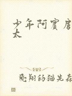 少年阿宾房东太太