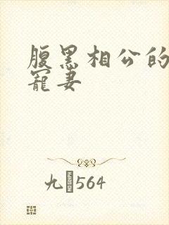 腹黑相公的庶女宠妻