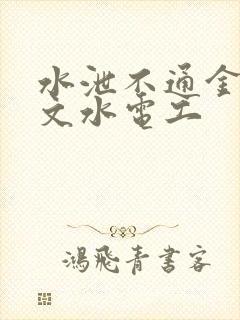 水泄不通金银原文水电工