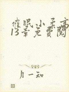 催眠小柔高达第13章免费阅读