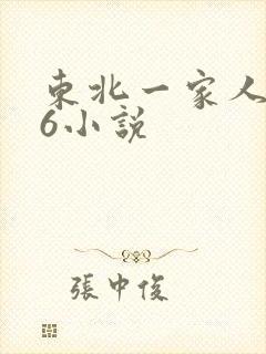 东北一家人1一6小说