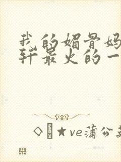 我的媚骨妈妈林轩最火的一句