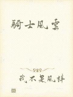 骑士风云