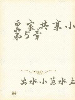 皇家共享小公主第5章