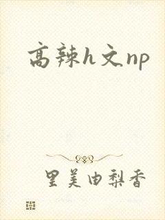 高辣h文np