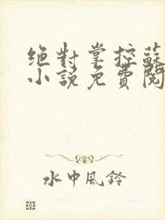 绝对掌控苏绵绵小说免费阅读全文