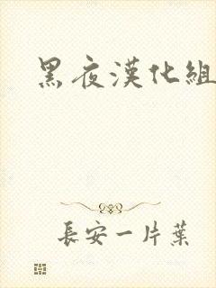 黑夜汉化组