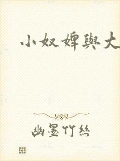 小奴婢与大少爷