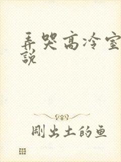 弄哭高冷室友小说