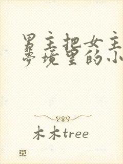 男主把女主拖进梦境里的小说