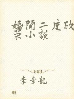 婚开二度欣欣向荣小说