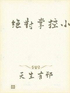 绝对掌控小说