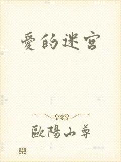 爱的迷宫