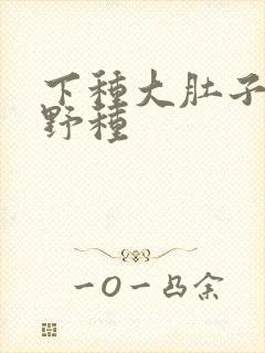 下种大肚子怀孕野种