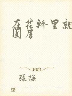 在花轿里就开始圆房