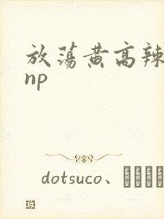 放荡黄高辣h文np