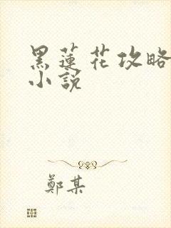 黑莲花攻略手册小说