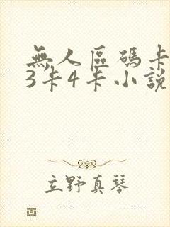 无人区码卡二卡3卡4卡小说