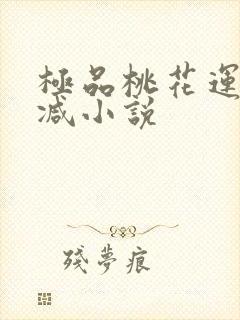 极品桃花运未删减小说