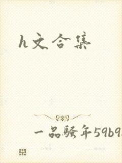 h文合集