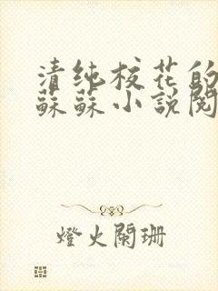 清纯校花的日常苏苏小说阅读全文